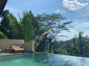 Widi's House 2 Bedroom House with Jungle View